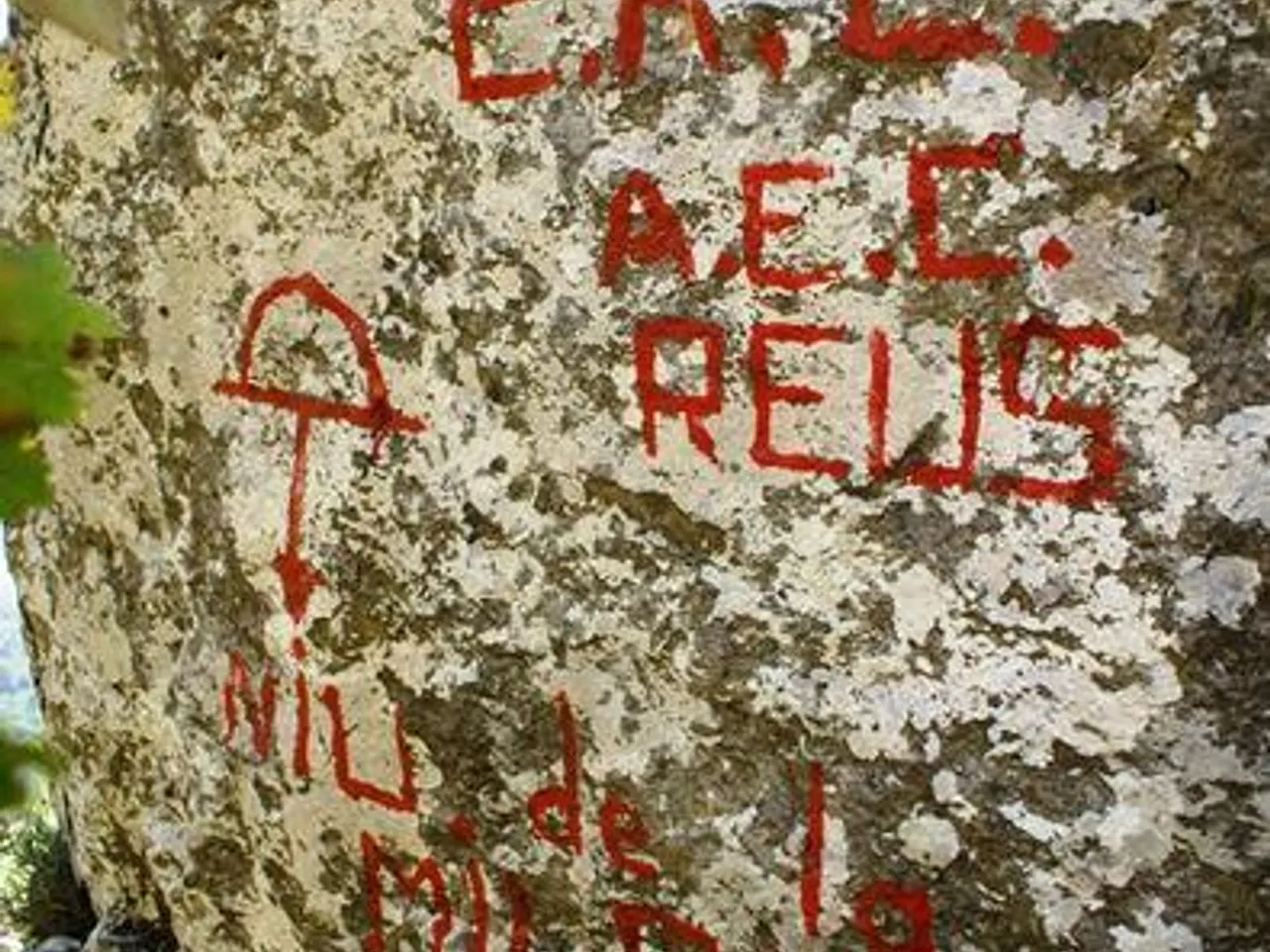 Fotografia de NIU DE LA MILOCA, AVENC DEL