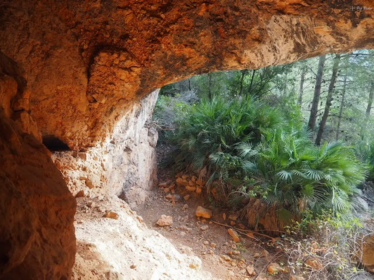 Fotografía de ROCA LLORENYA, COVA DE