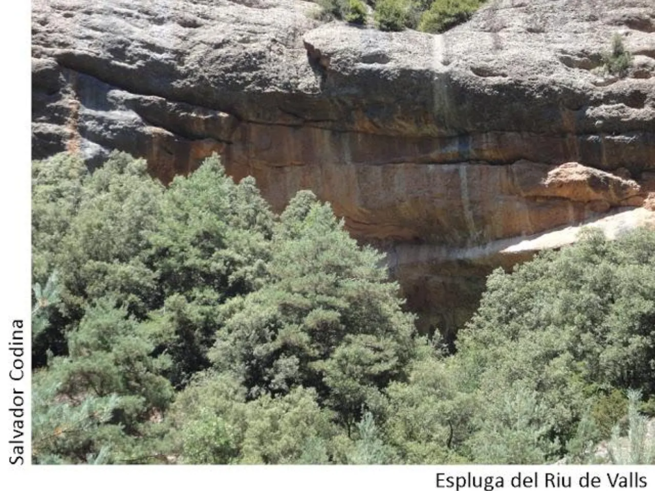 Fotografia de RIU DE VALLS, ESPLUGA DE