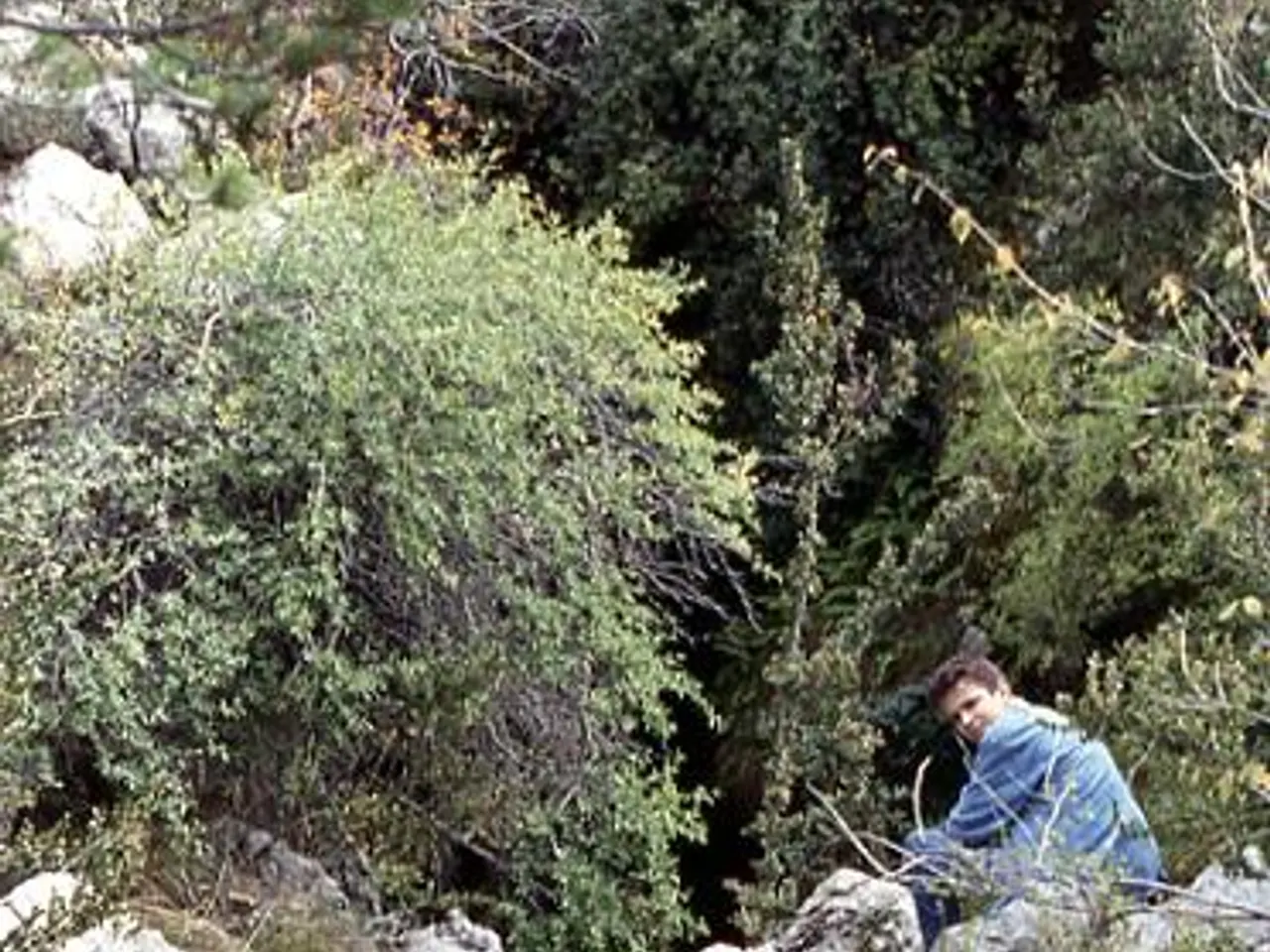 Fotografía de COLL DE LA CREU,  AVENC DEL