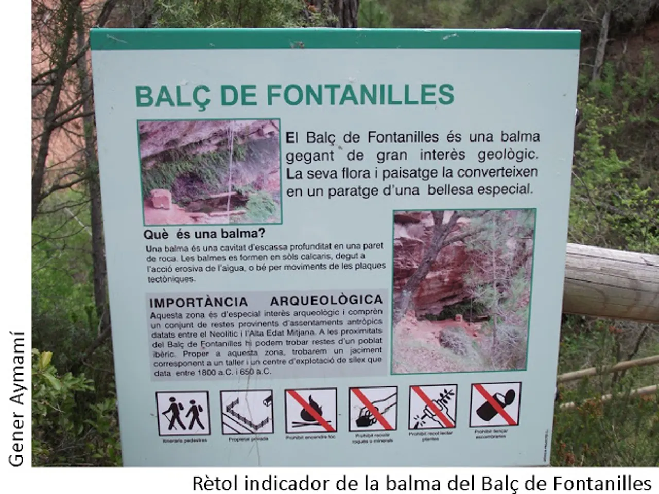 Photographie de BALÇ DE LES FONTANILLES, BALMA