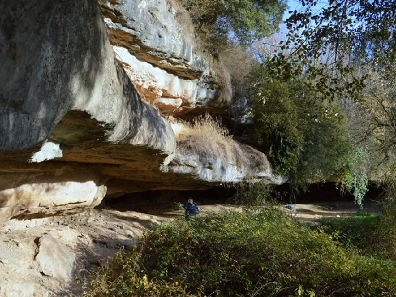 Photograph of FONT DELS BOUS, BALMES DE LA