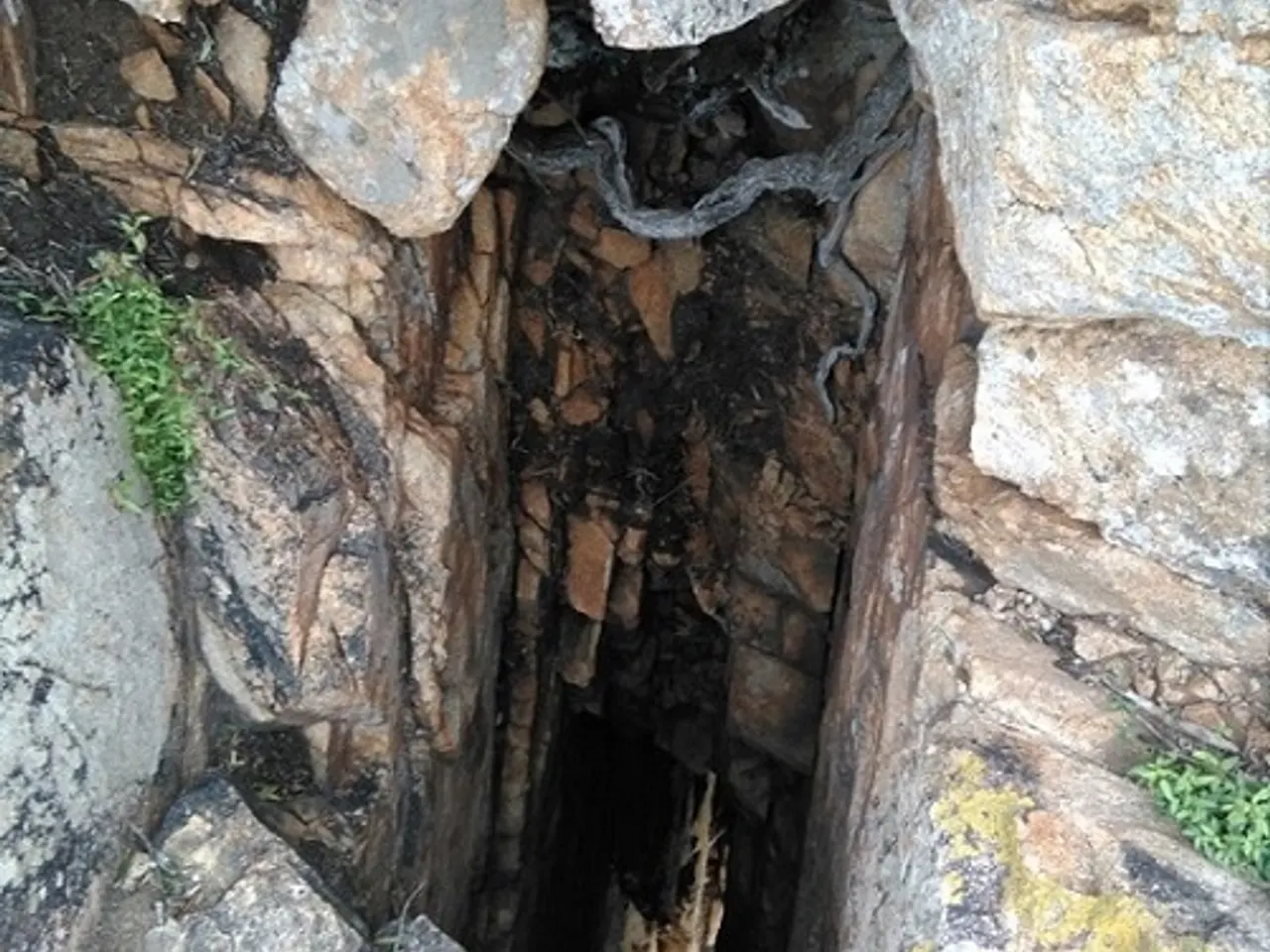 Fotografía de VITAIA, COVA ALTA D'EN