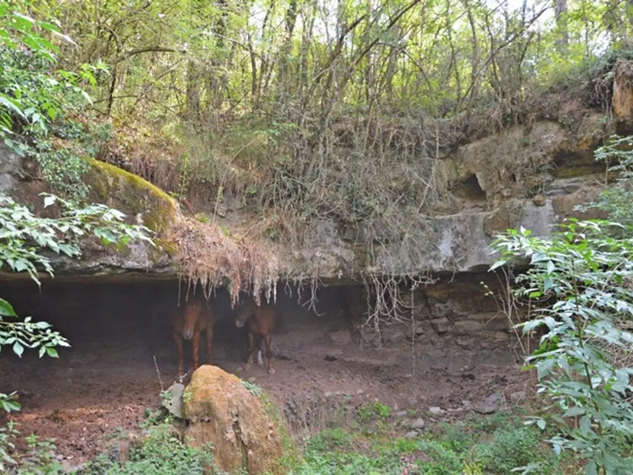 Fotografia de VALL, BALMA DE LA