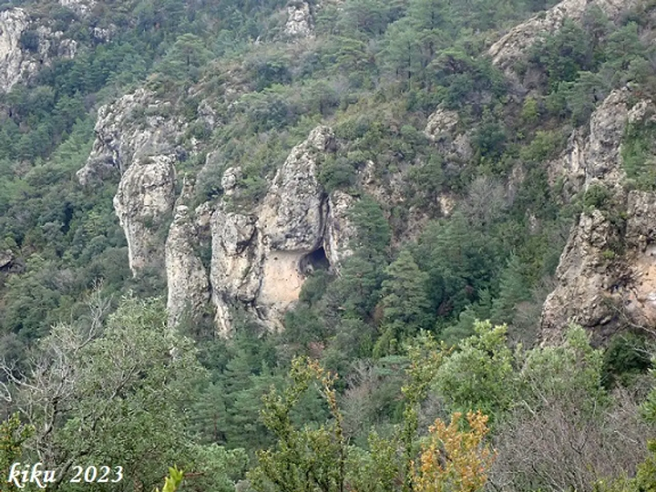 Fotografia de COMELLAR DEL MAS DEL VERD, COVA DEL