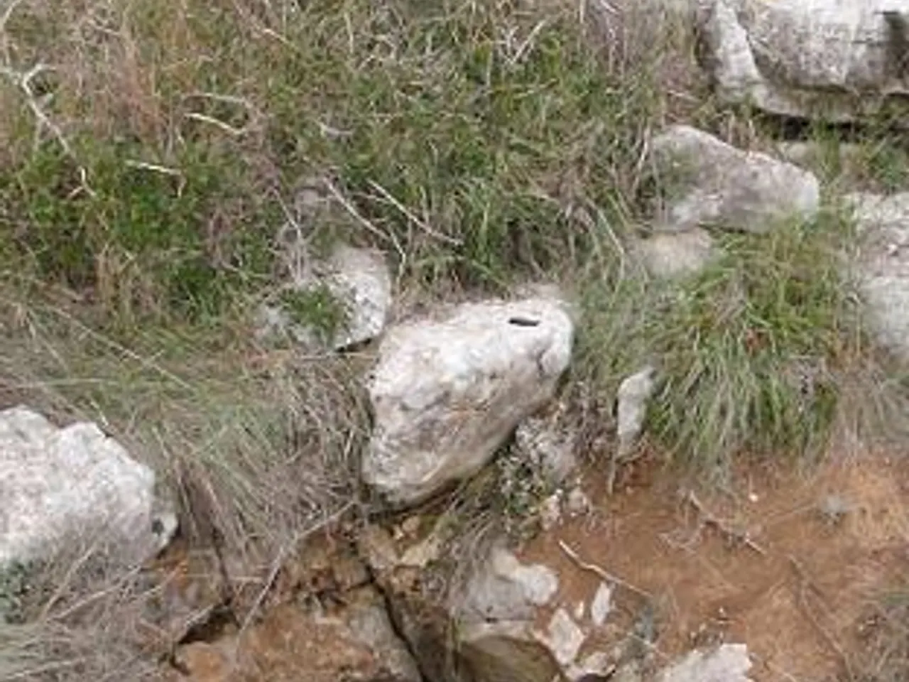 Fotografía de DIUMENGES, AVENC DELS