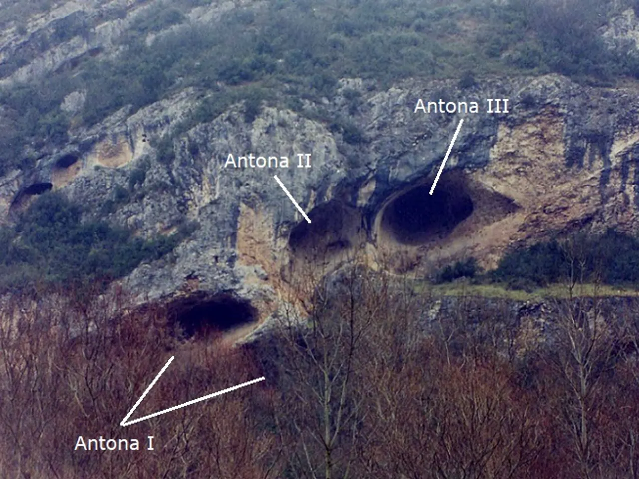 Fotografia de ANTONA, COVES D'