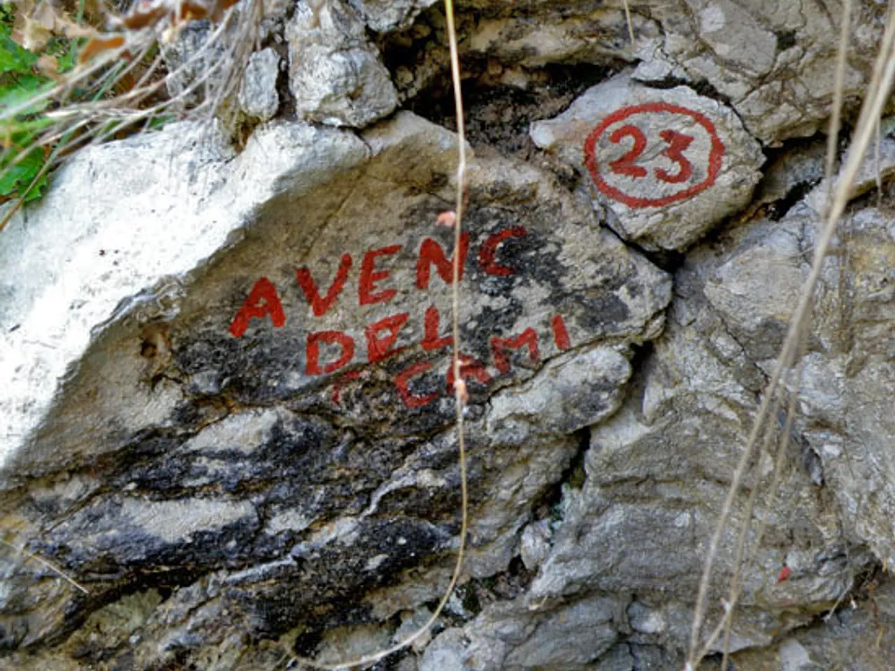 Photographie de CAMÍ, AVENC DEL