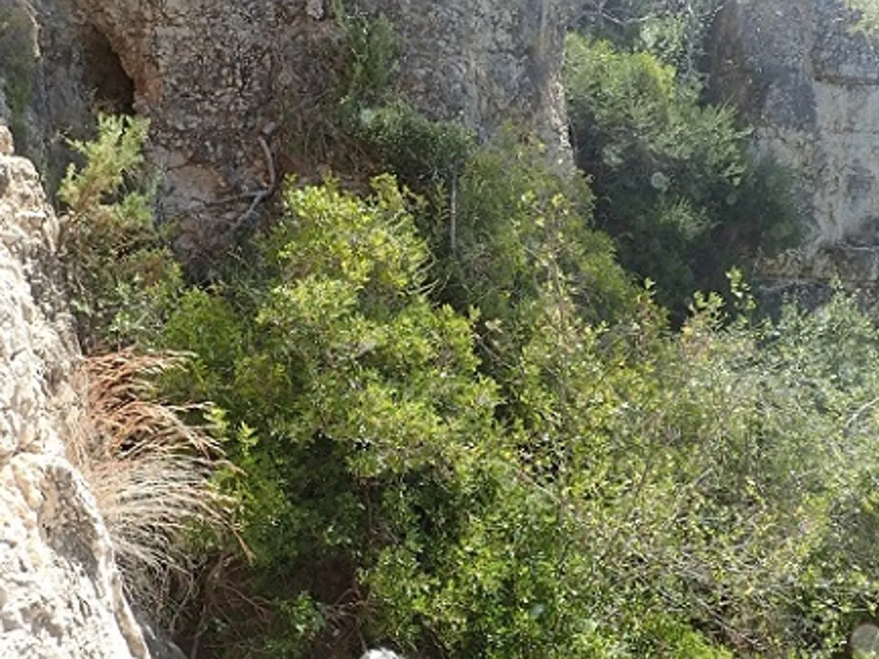 Fotografía de CAN PONÇGEM, COVA Nº 3 DE