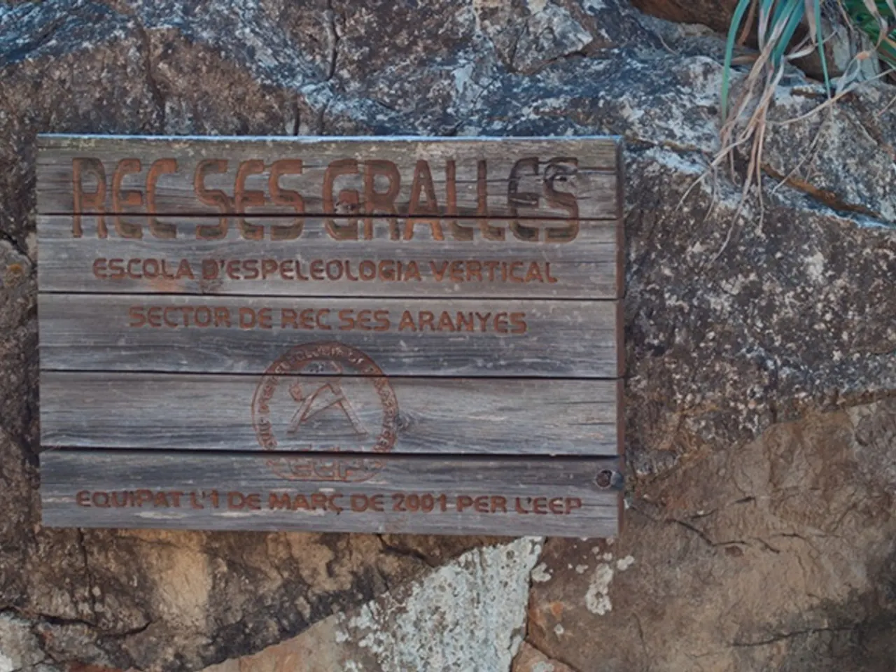 Photographie de GRALLES, REC SES