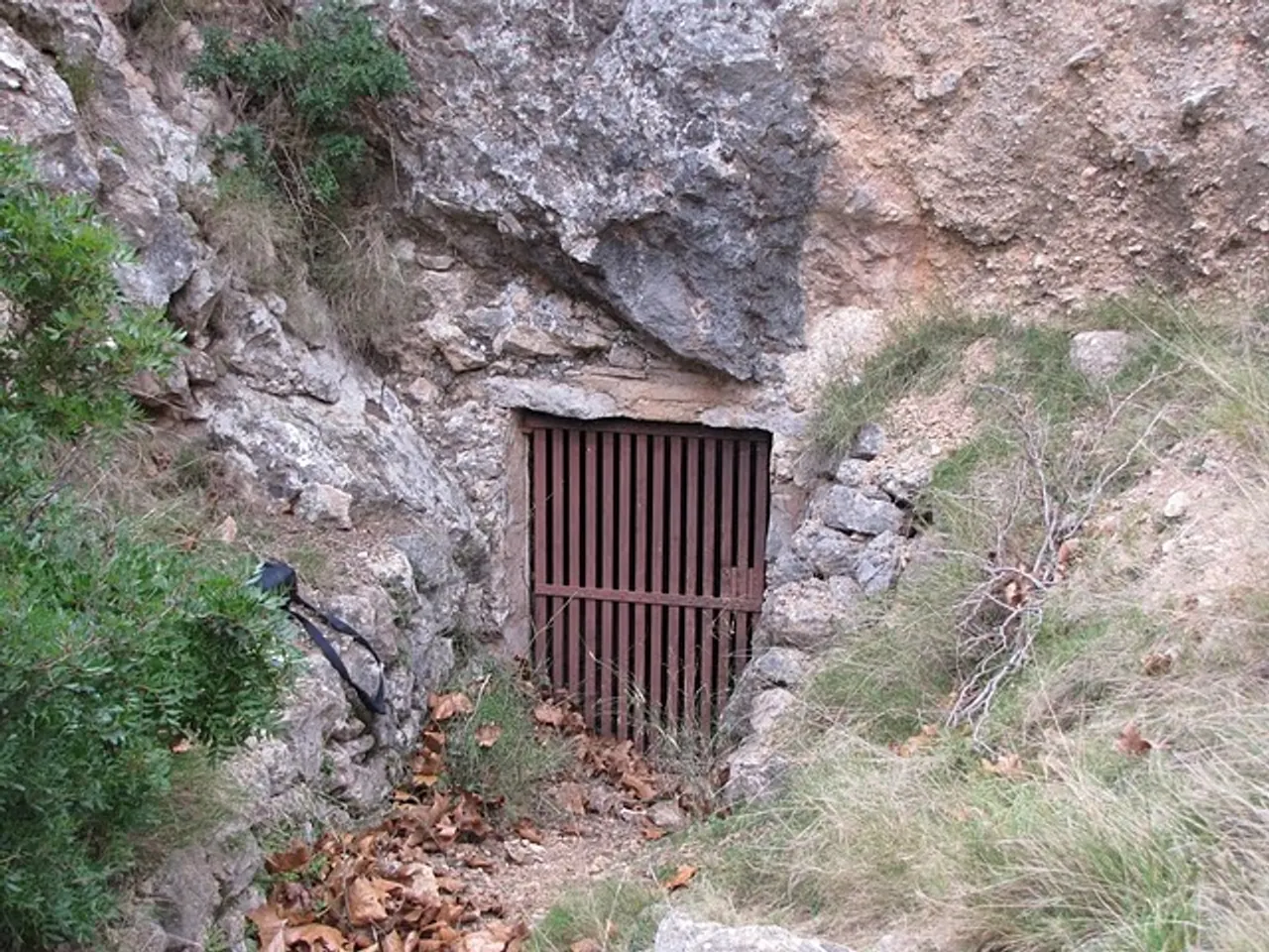 Fotografía de FONT NOVA, COVA DE LA