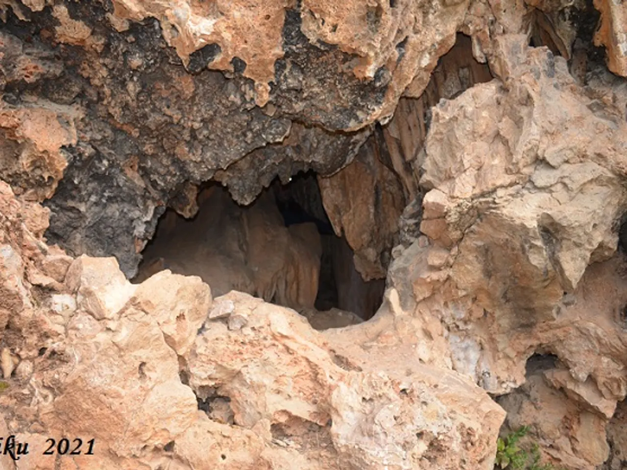 Fotografia de PEDRERA, AVENCÓ DE LA
