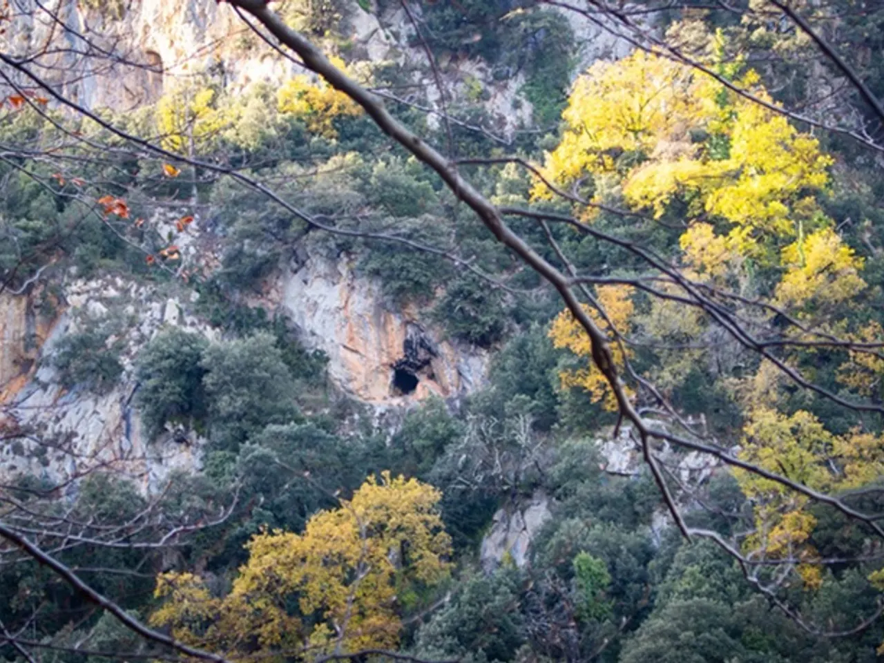 Photograph of VIUDA, COVA DE LA