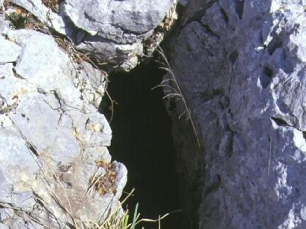 Fotografía de DAURADELLA, AVENC DE LA