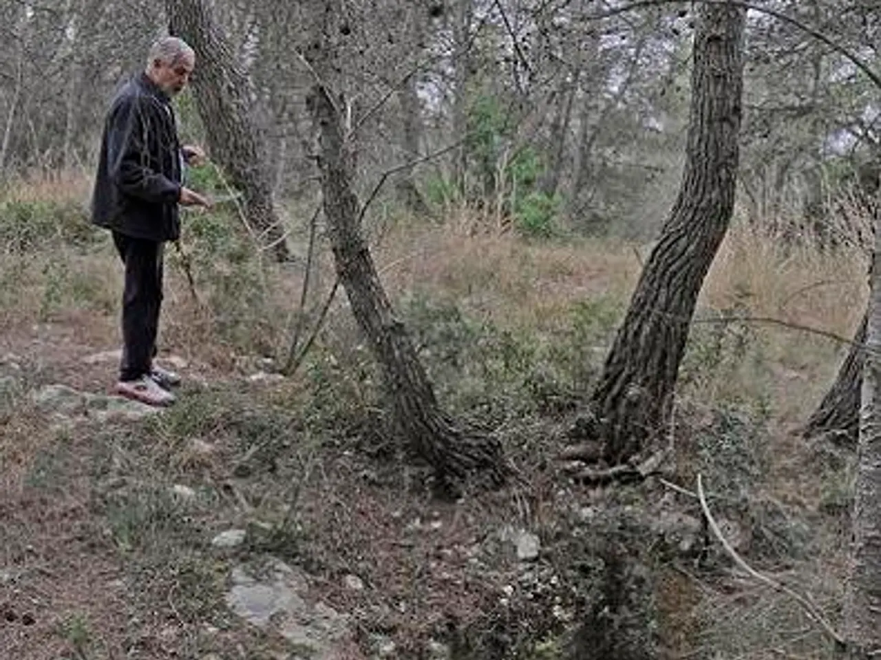 Fotografia de SANTA BÀRBARA, COVA DE