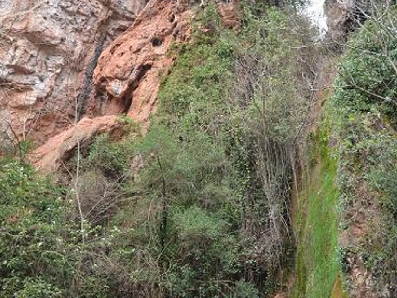 Photograph of BAC, COVA DEL