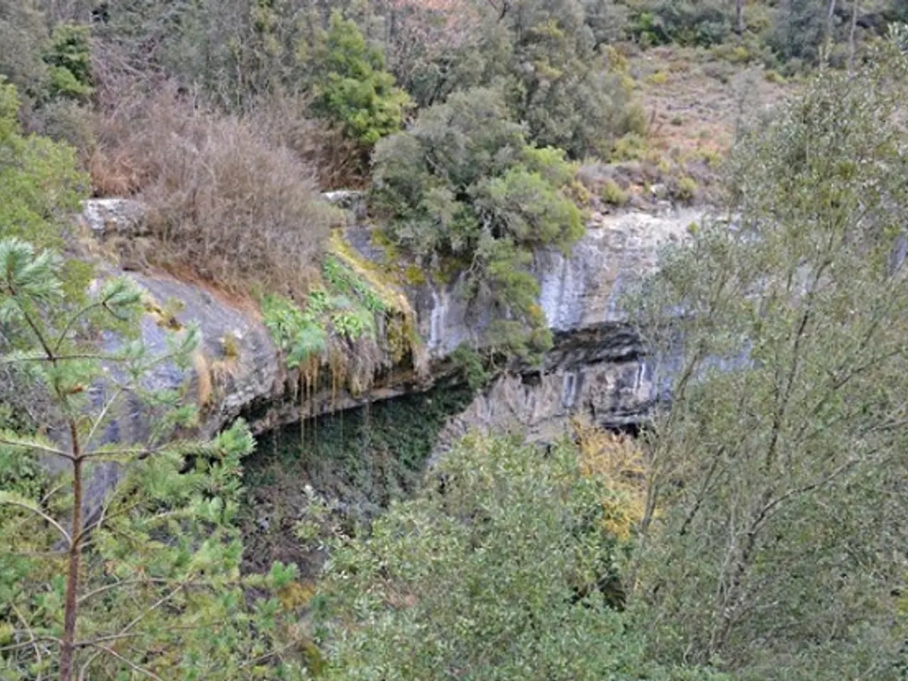 Fotografía de TORRENT D'ESPLUGUES, BALMA DEL