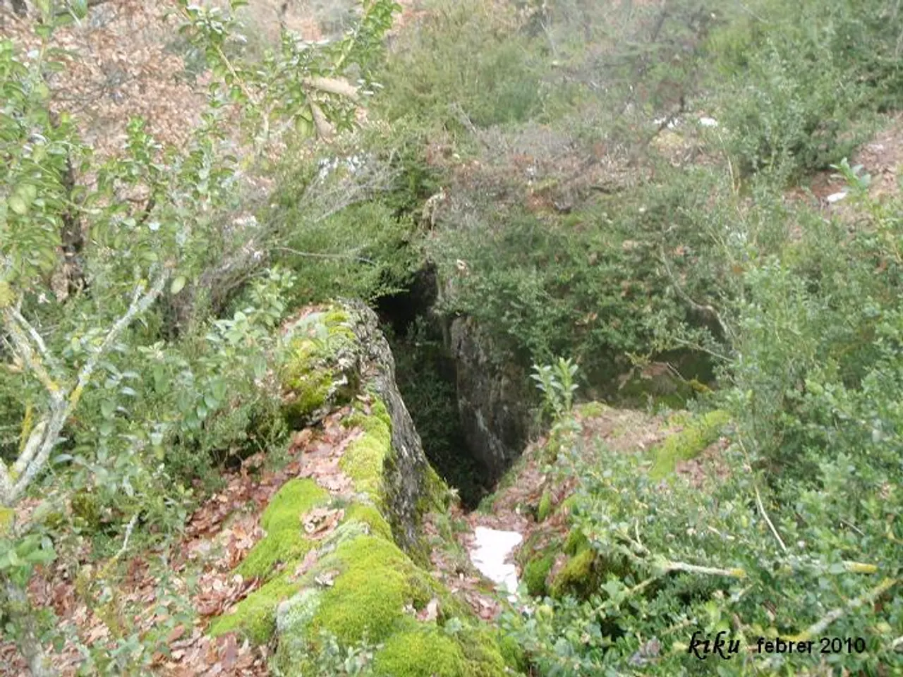 Fotografía de FORQUES, ESCLETXA DE LES