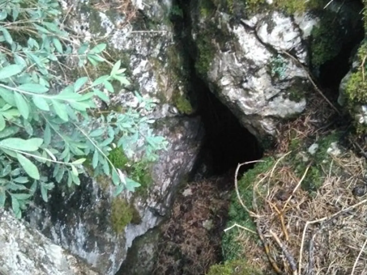 Photographie de COLLADA DE LA BÒFIA, FORAT CB-6 DE LA