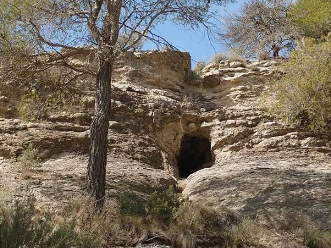 Fotografia de LLOP, CAU DEL