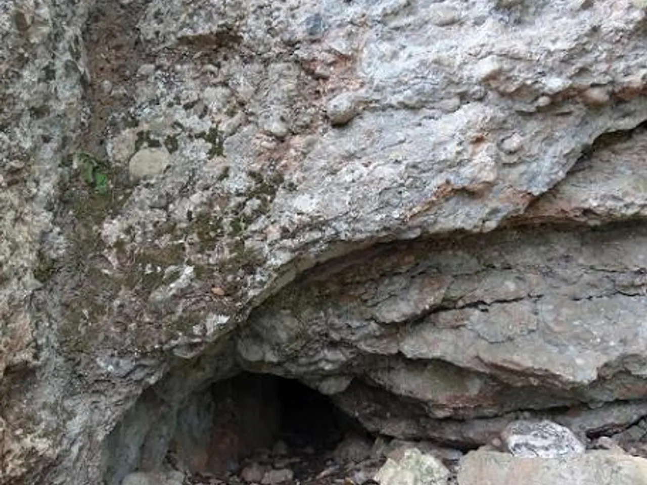 Fotografia de BELLOT, COVA