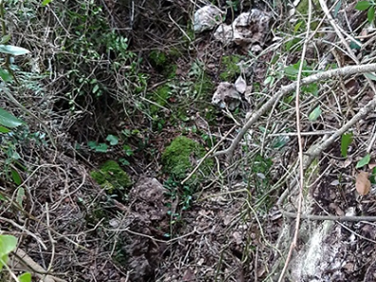 Fotografia de SERRA DEL MAS, AVENC SM-27 DE LA