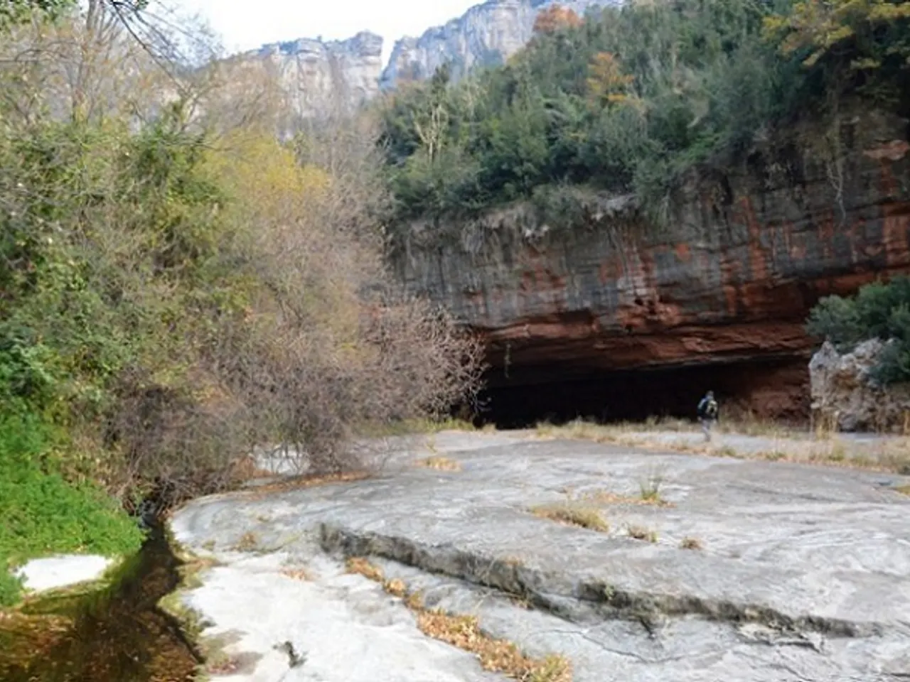 Fotografia de ROSA, BALMA