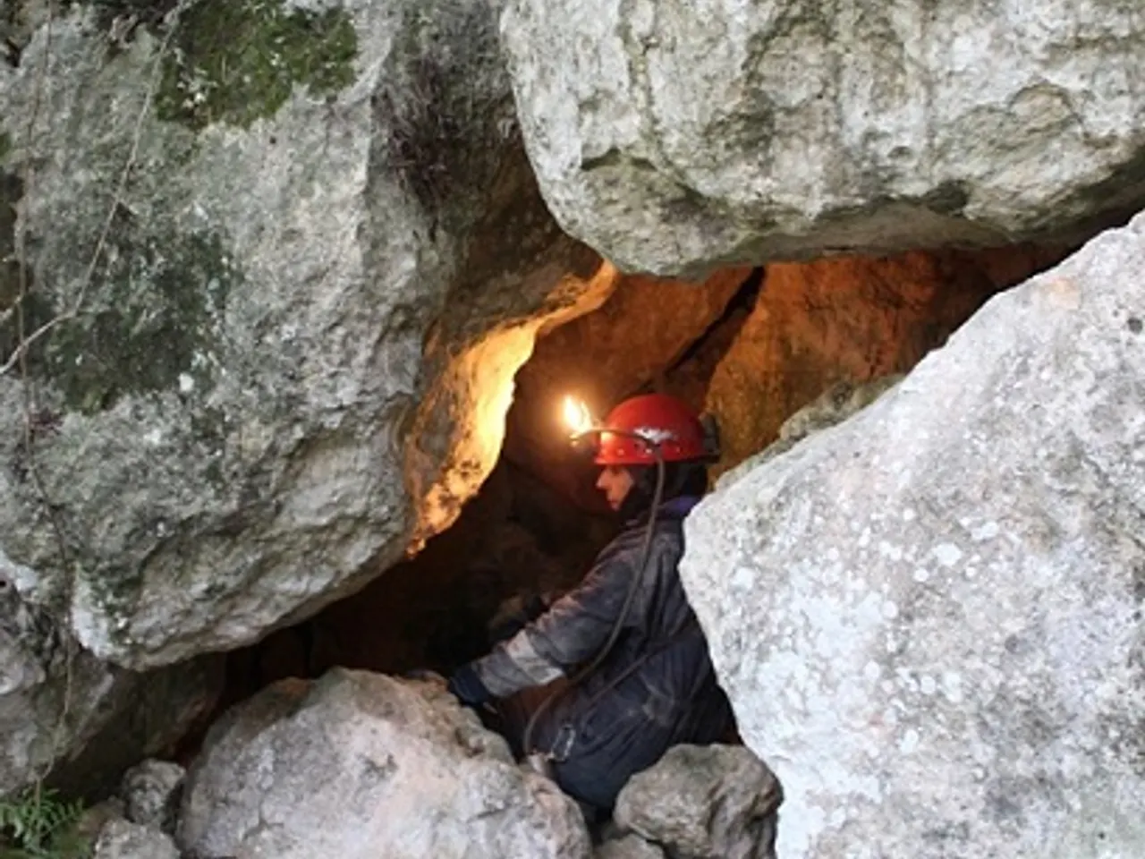 Photograph of OR, COVA PETITA DE L'