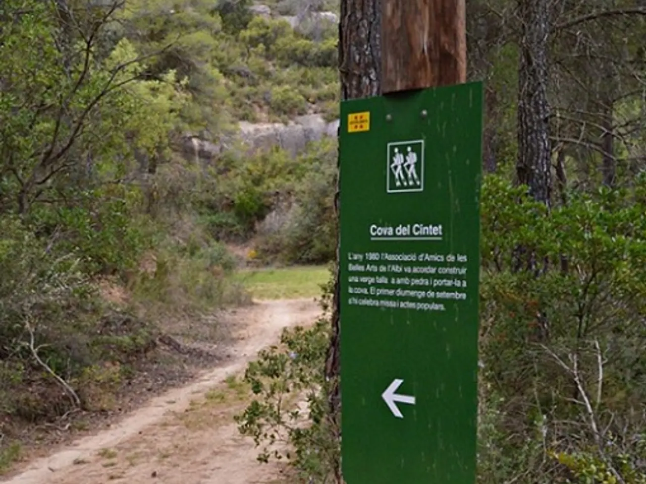 Fotografia de CINTET, COVA DEL