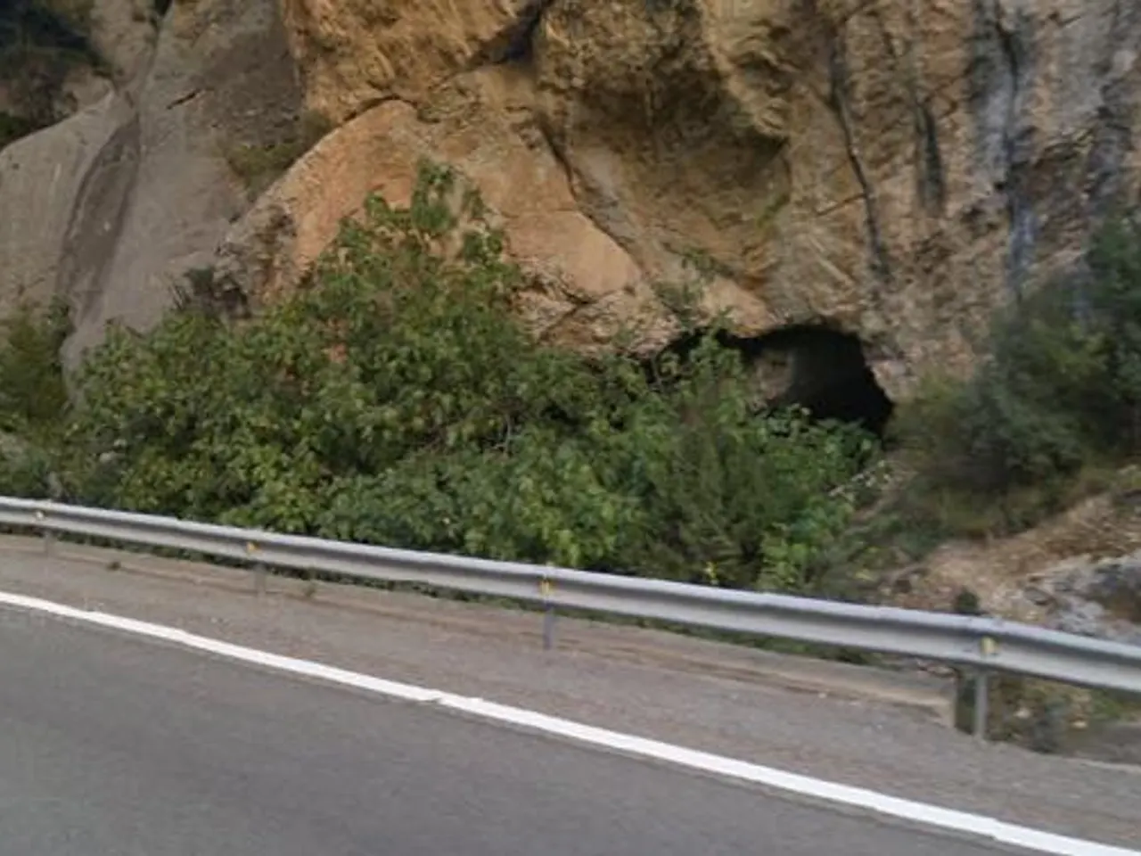 Photograph of ORELLA, BAUMA DE L'