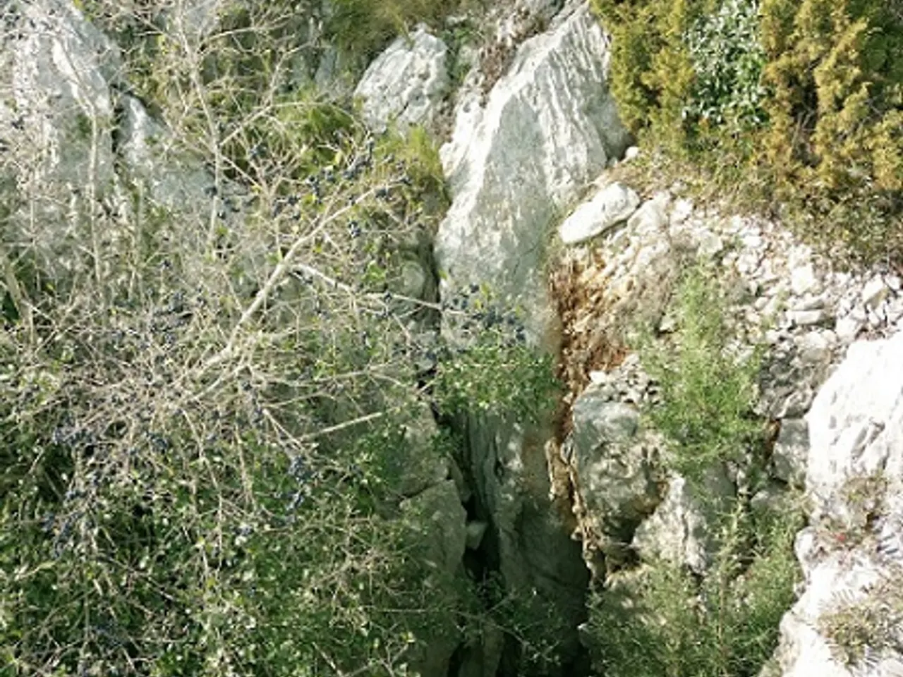 Fotografia de ESCURÇÓ, AVENC DE L'
