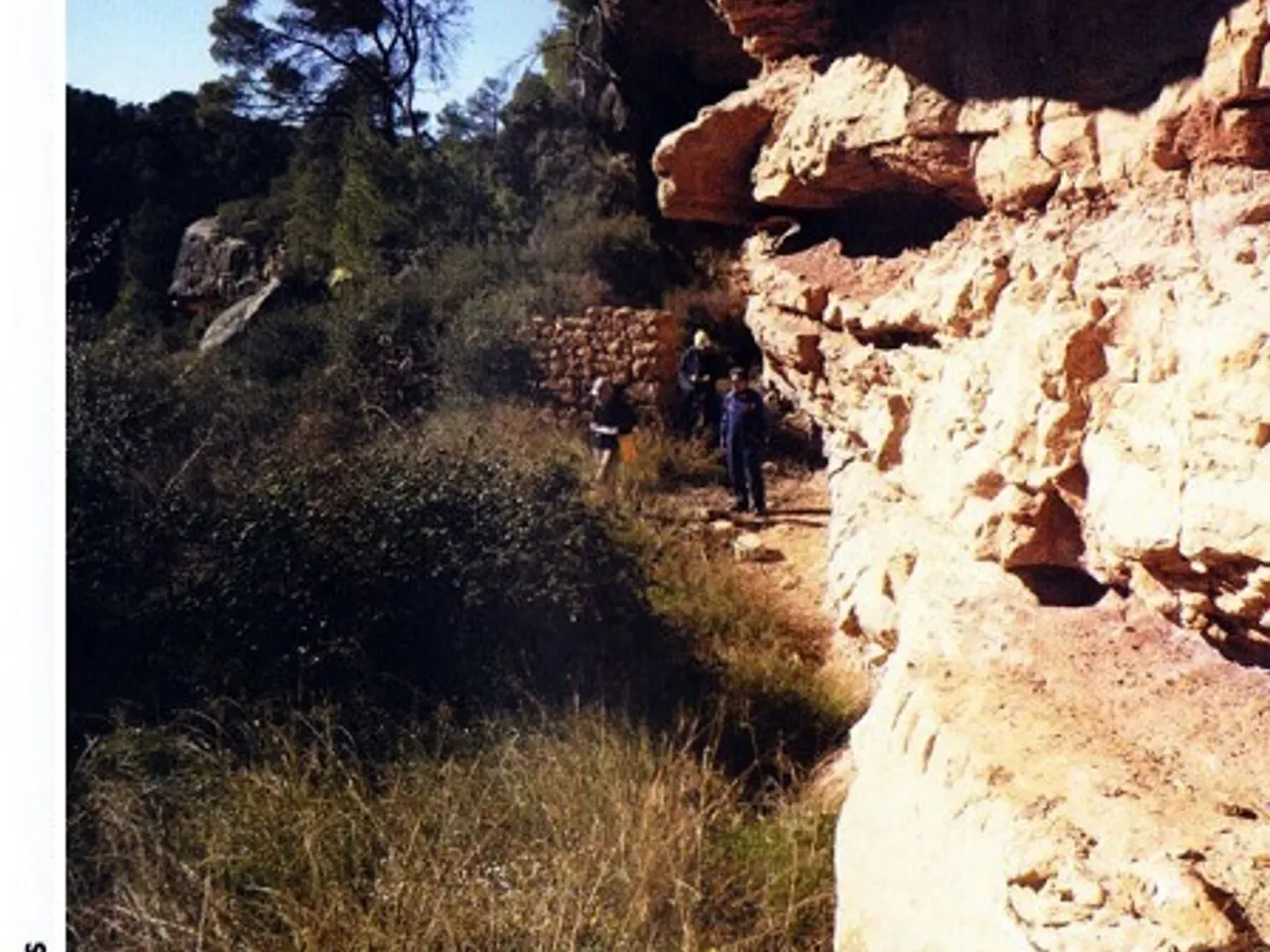 Photographie de PAU VINYES, COVA DEL