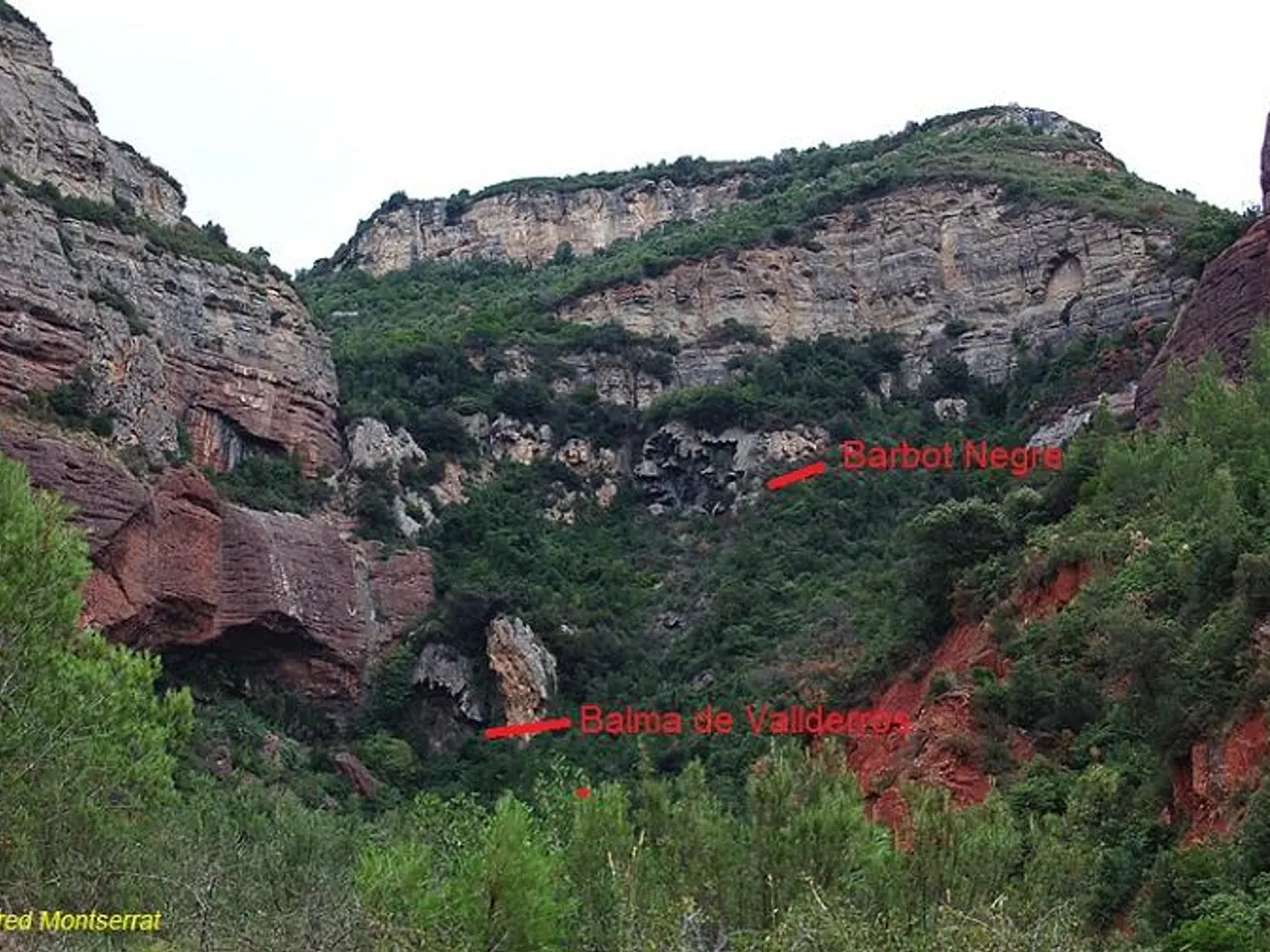 Photograph of NEGRE, BARBOT