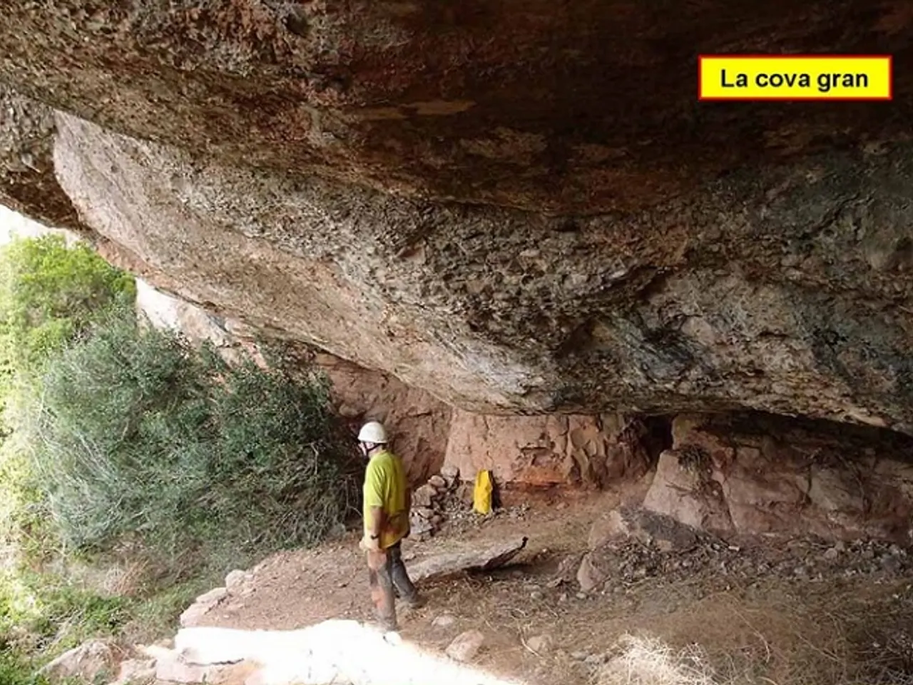 Fotografía de RONYOSES, COVES