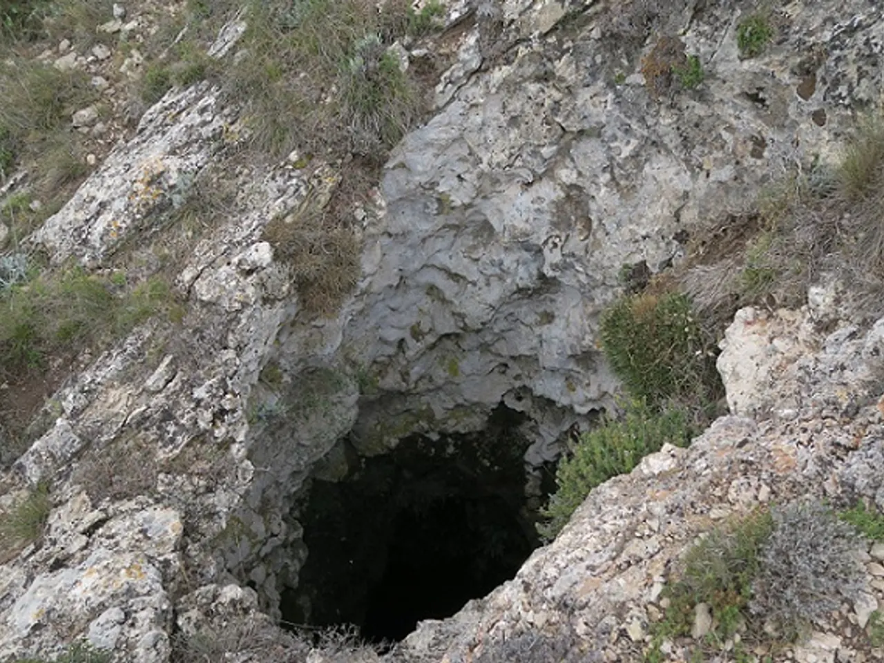 Fotografia de PETIT,  AVENC