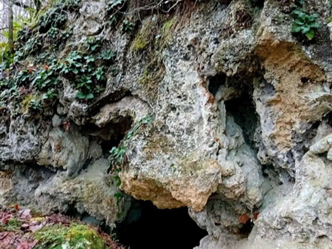 Fotografía de BOSOMS, COVA Nº1 DE