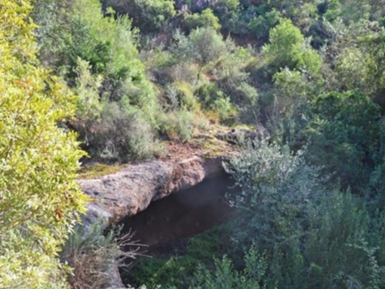 Photograph of SANANA, BALMA GRAN DE