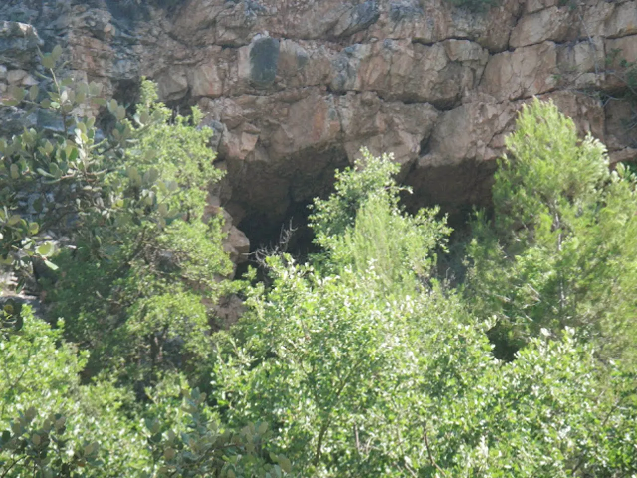 Fotografia de RIERA DE PONTONS, COVES DE LA