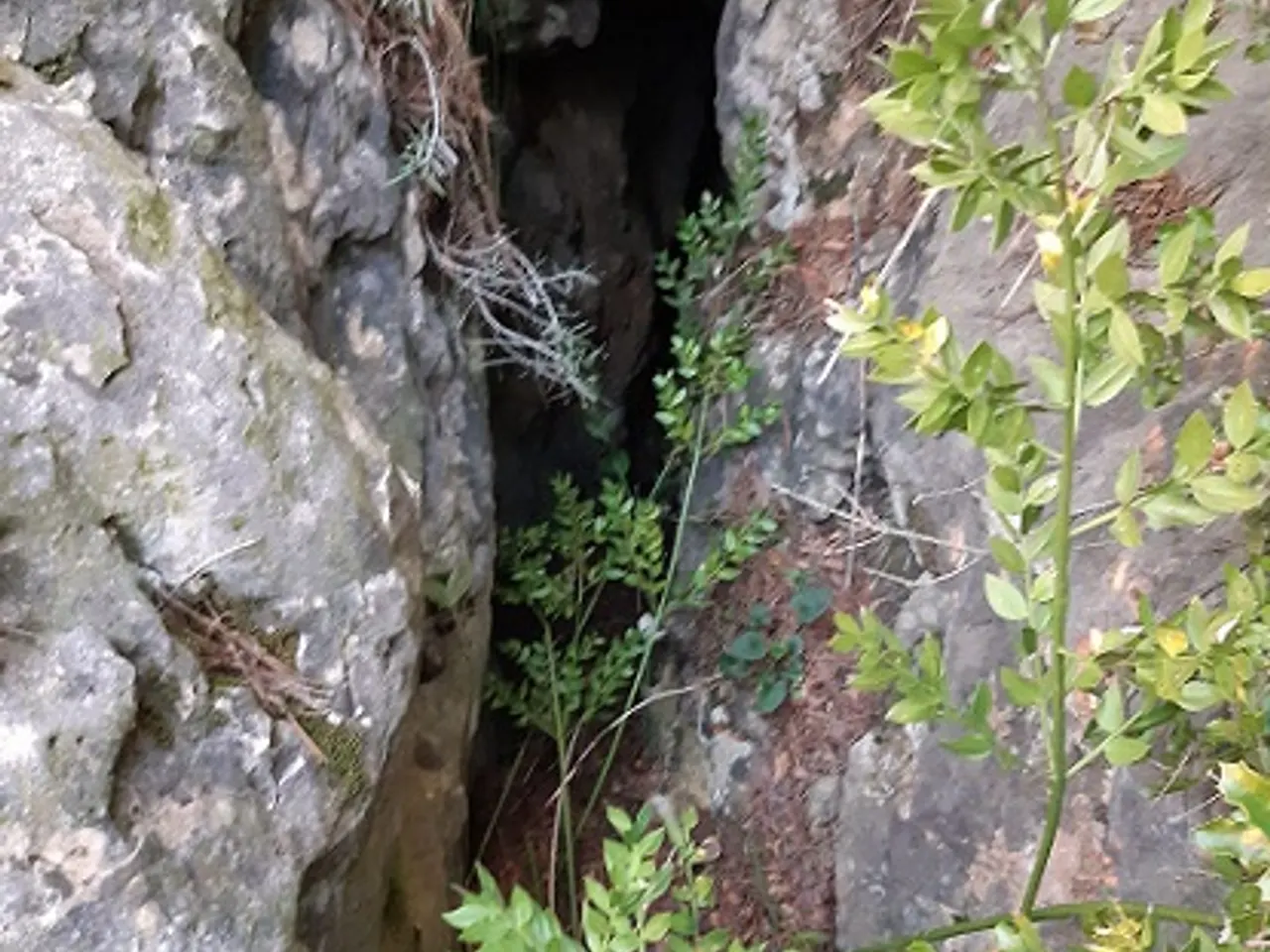 Fotografia de SERRA DEL MAS, COVA SM-26 DE LA