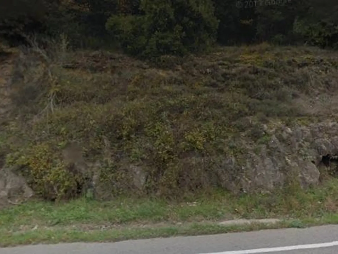 Fotografia de CARRETERA, BORA DE LA