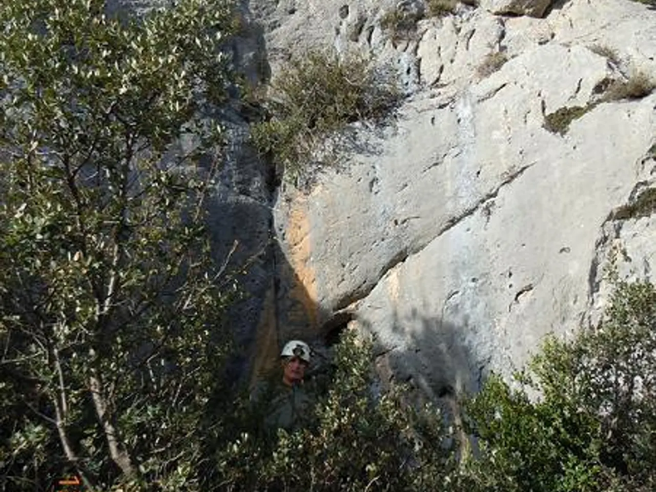 Photographie de LLADRE, COVA DEL
