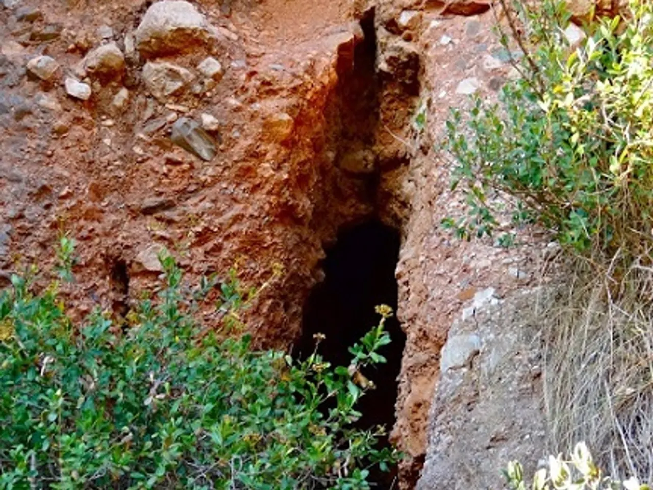 Photograph of CINTA, COVA DE LA
