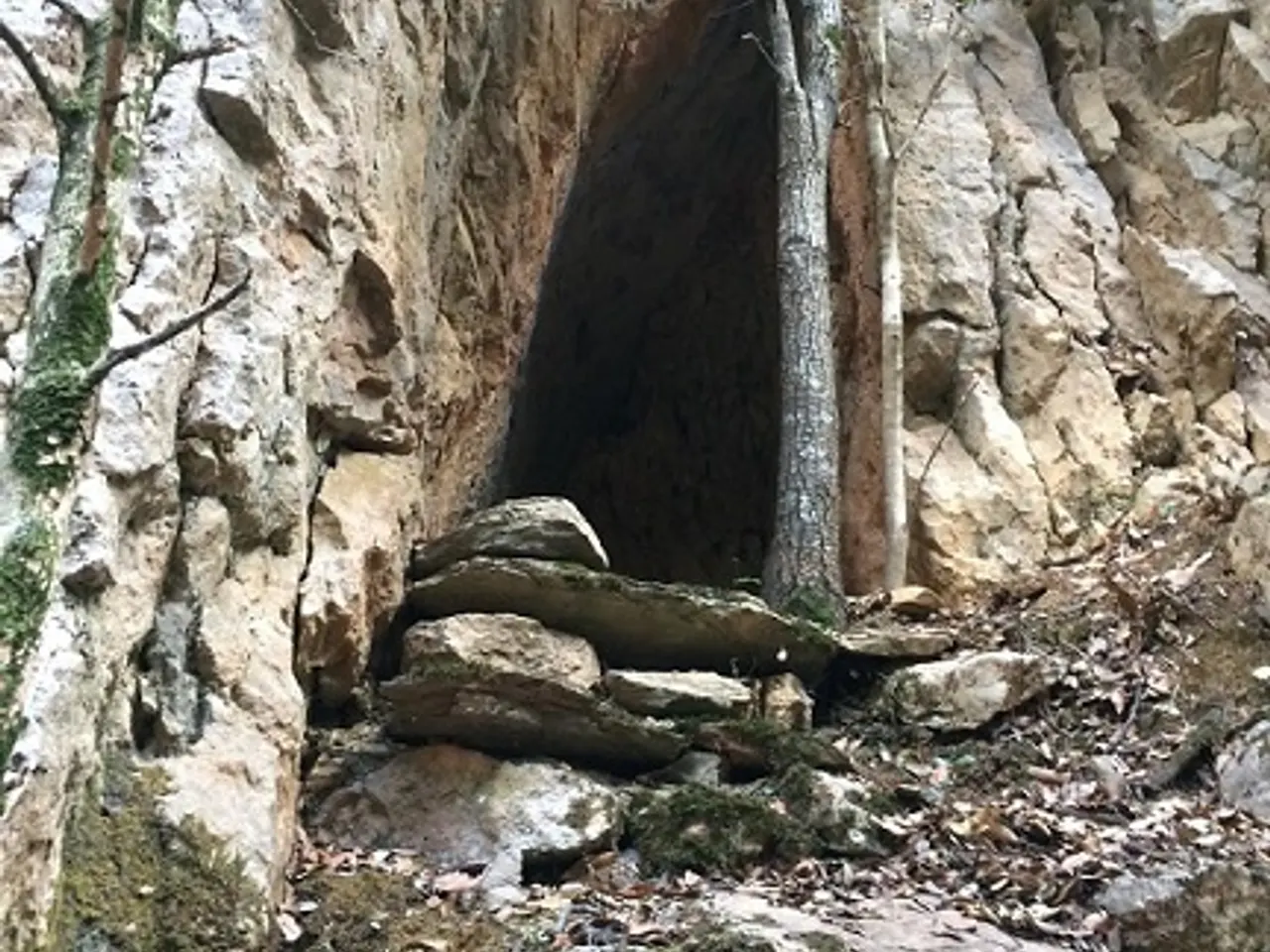 Fotografia de SENGLAR, TUTA DEL