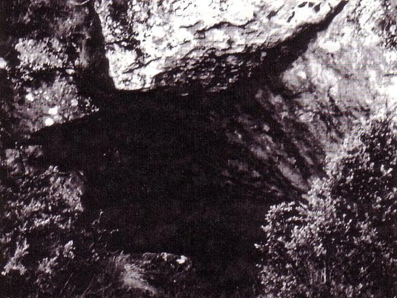Fotografia de FORIC, LO