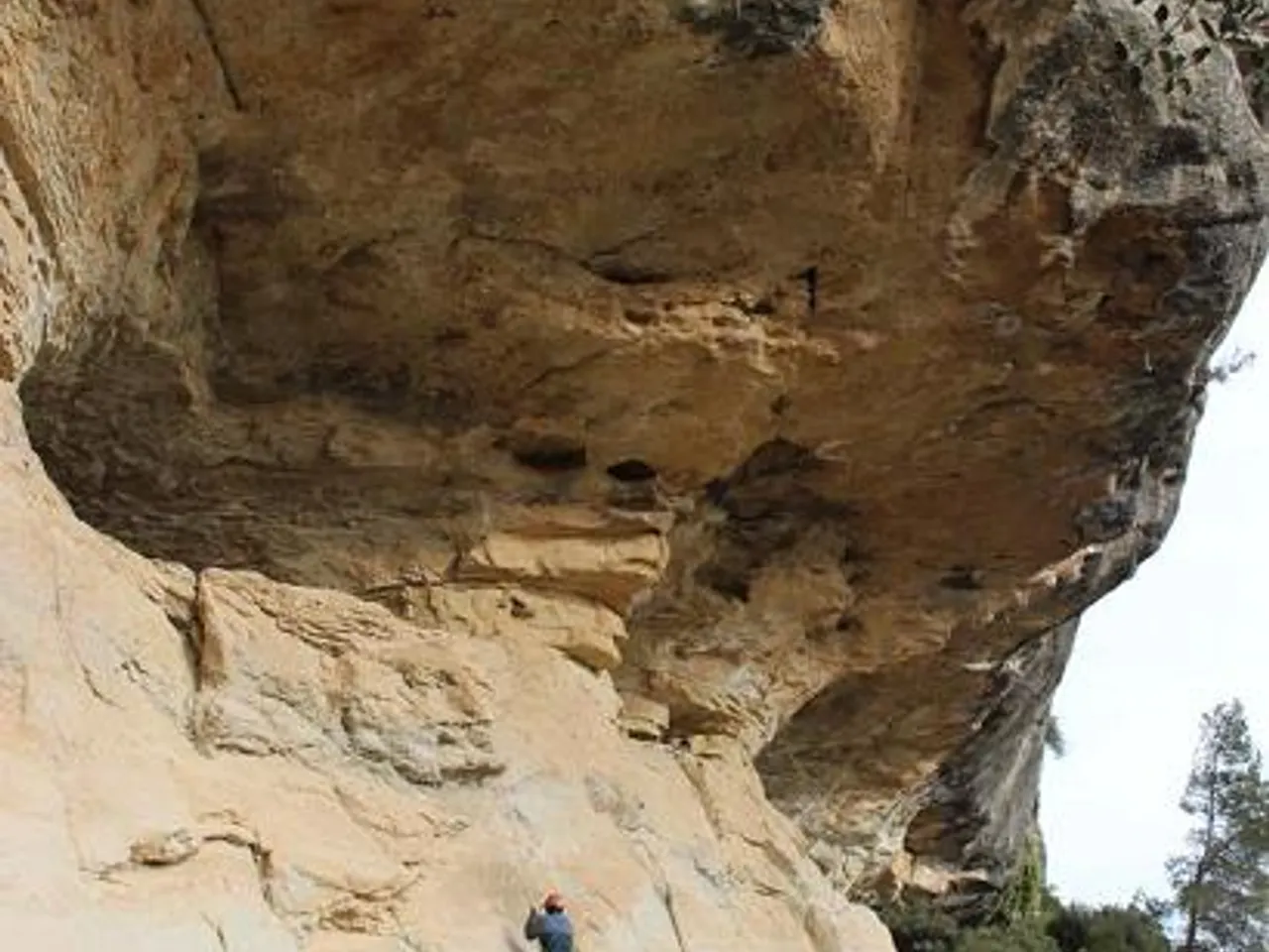 Photograph of OCELL, COVA DE L'