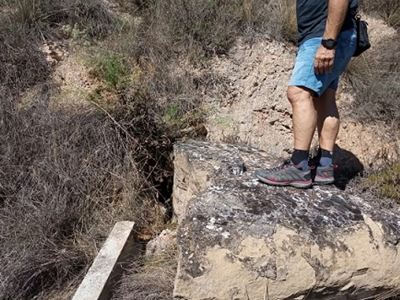 Fotografia de ROIG, FORAT