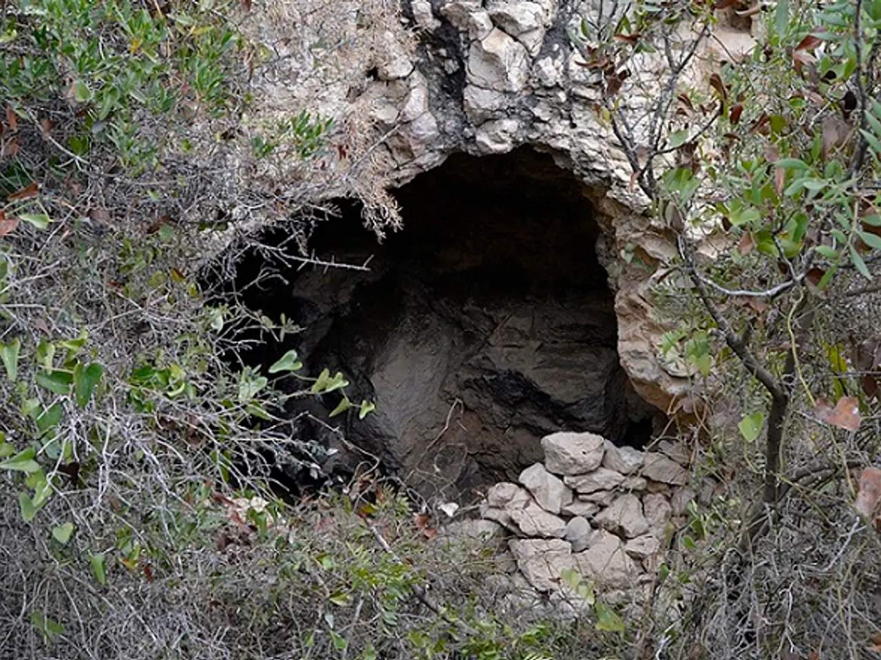 Fotografia de TERRIL, COVA