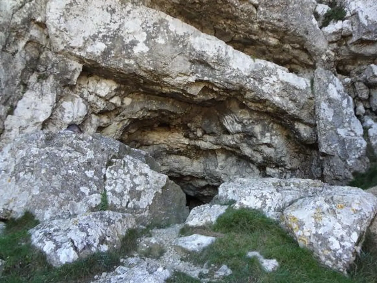 Fotografia de MOLA, COVA DE LA