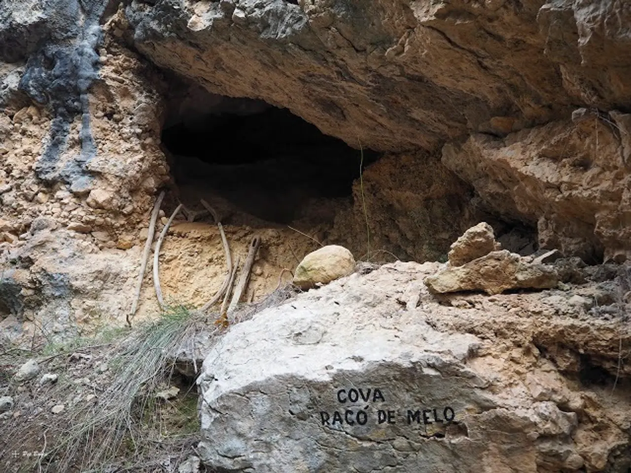 Fotografía de RACÓ DEL MELO, COVA DEL