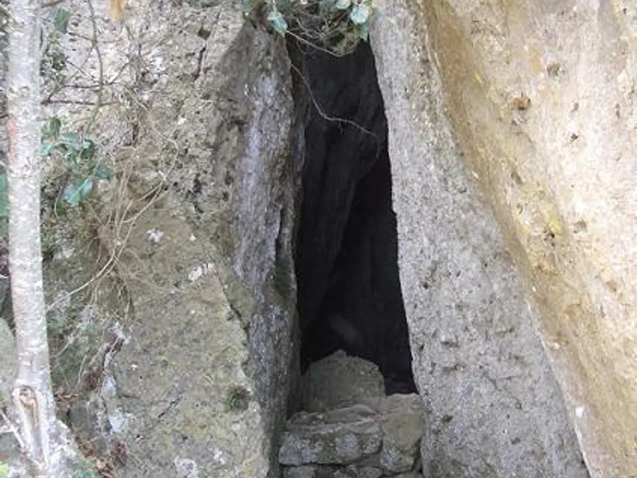 Fotografía de GRALLES, COVA DE LES